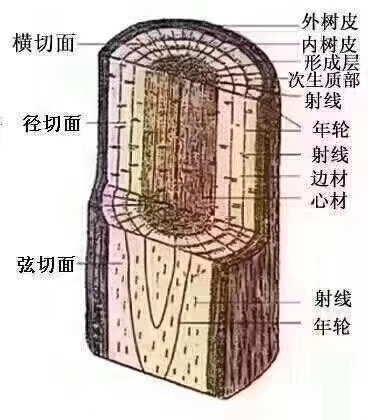 5e7b50b499fff.png image.png